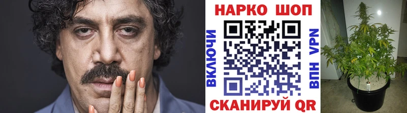 Наркошоп купить Героин Псилоцибиновые грибы ГАШИШ Мефедрон COCAIN A PVP Бошки Шишки Таруса