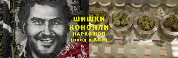 наркотики Бородино