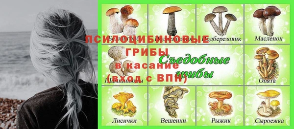 наркотики Бородино