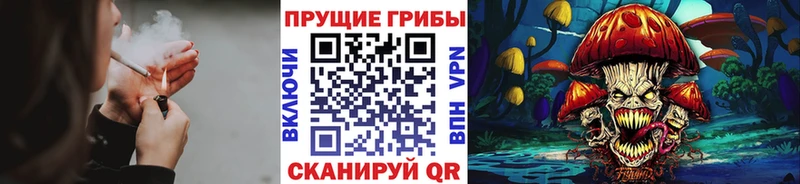 Галлюциногенные грибы Psilocybine cubensis  Купить закладки  Таруса 